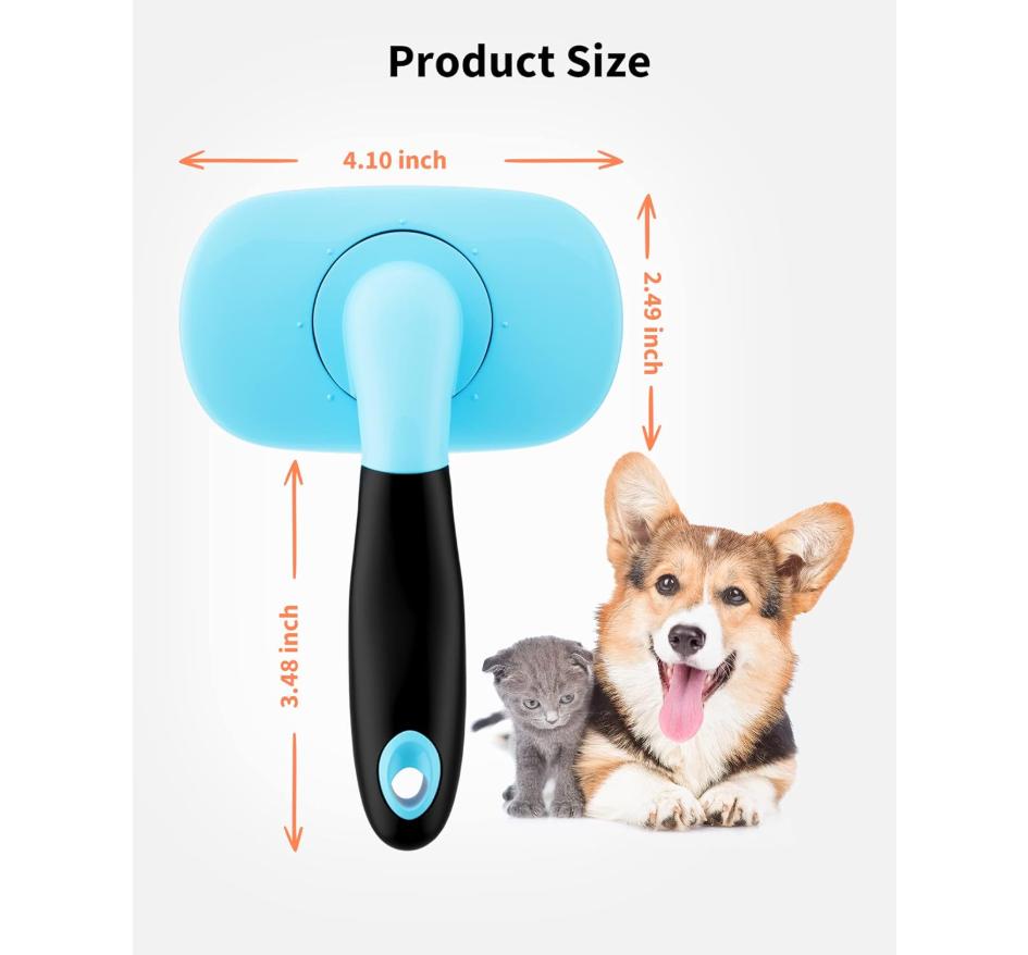 Dimensions de la brosse anti-poils avec un chiot corgi