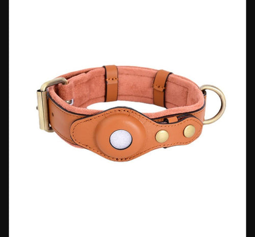 Collier Cuir avec Porte-Tracker pour Chien