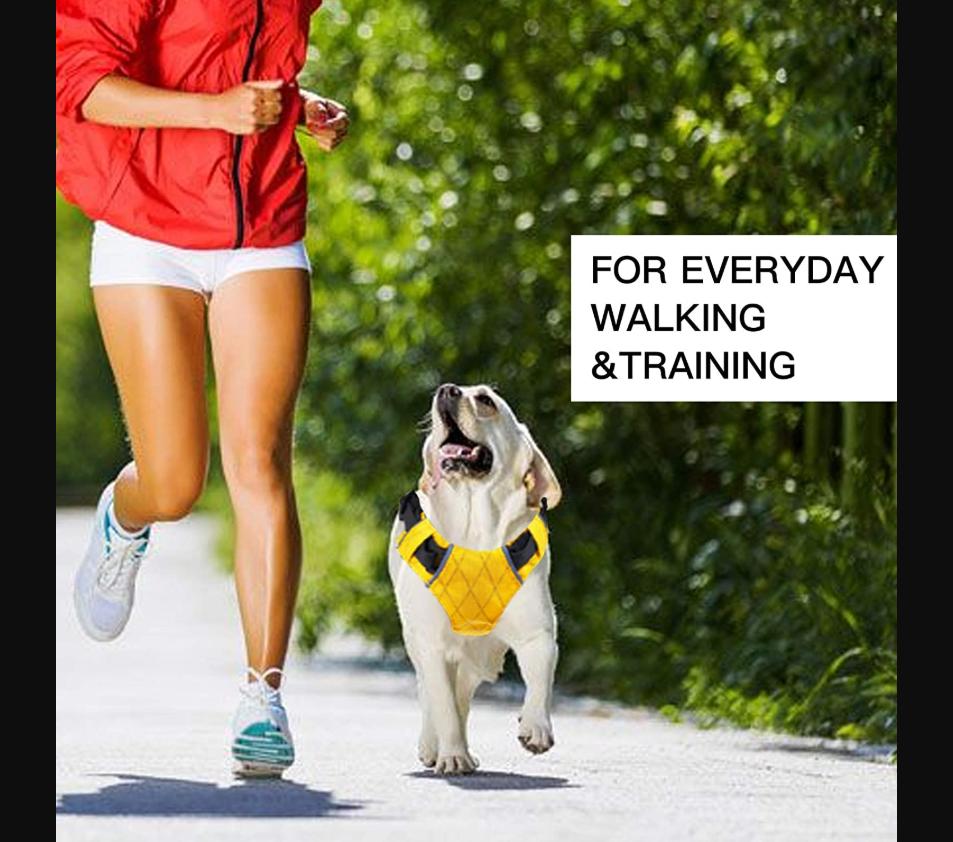 No-Pull Dog Harness — Comfort & Safety