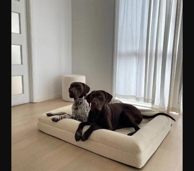 Lit Orthopédique Chien — Mémoire de Forme